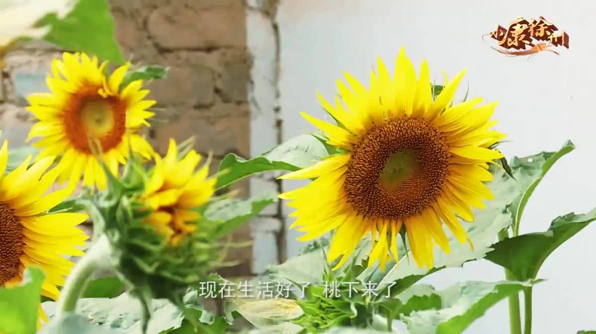 小康徐州?變遷 美好環(huán)境 給生活加點(diǎn)甜.mp4