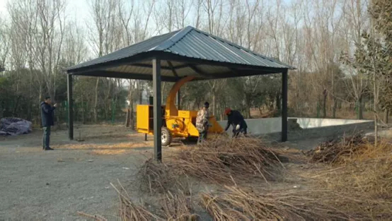 徐州無(wú)廢公園&middot;沙溝湖水杉公園