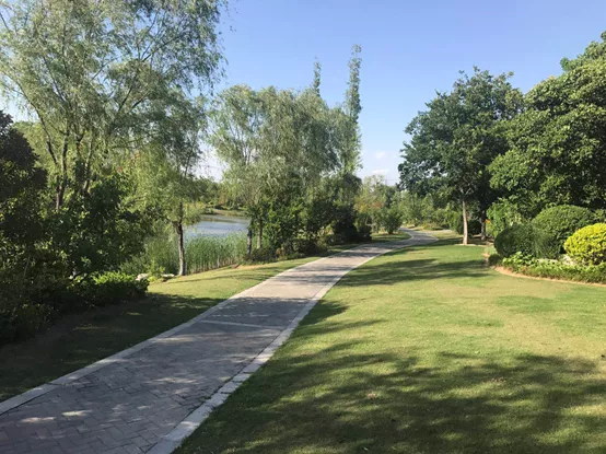 徐州無廢公園&middot;大黃山苗圃森林公園