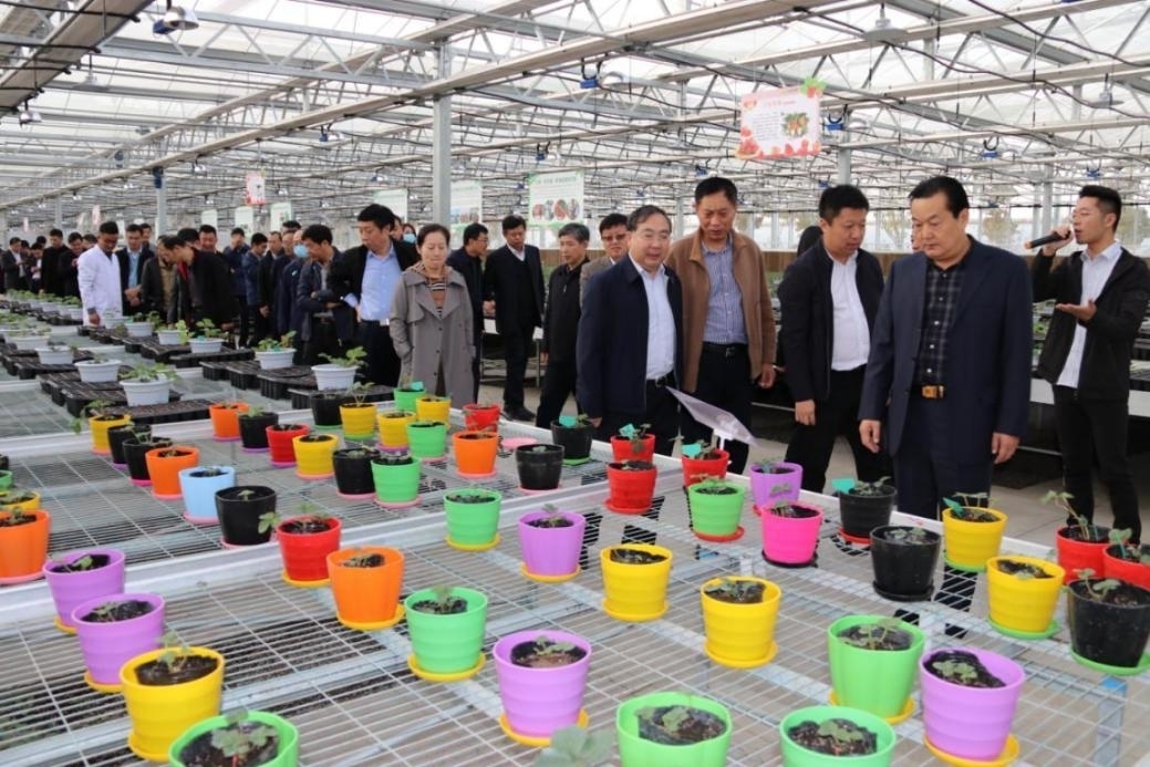 觀摩區(qū)域樣板 汲取奮進力量 市委辦公室赴睢寧開展主題黨日活動