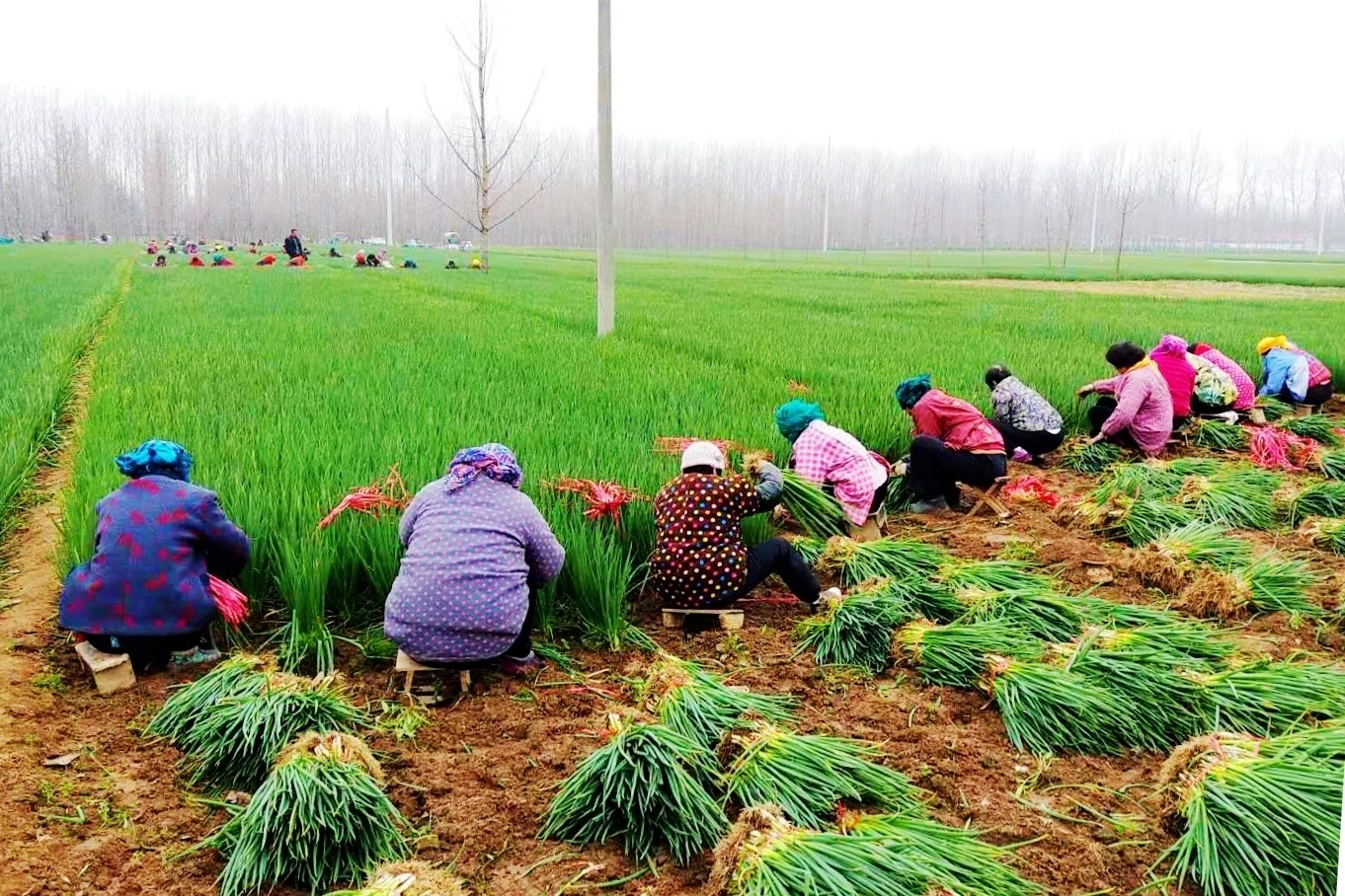 【新春走基層】徐州：新春經(jīng)濟&rdquo;正紅火
