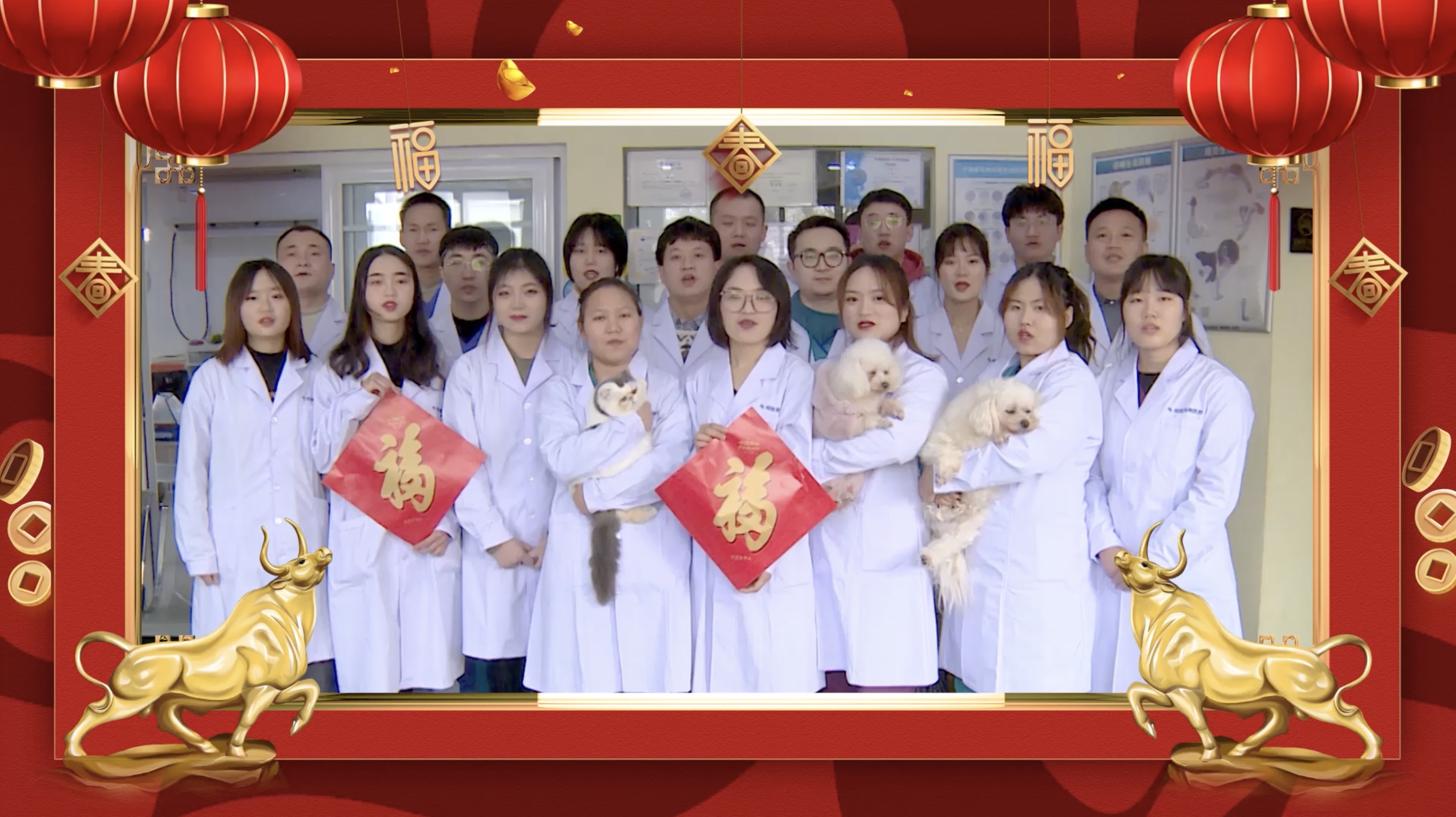 徐州潤瓏寵物醫(yī)院