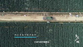 第四集：《沒有劈不開的柴》