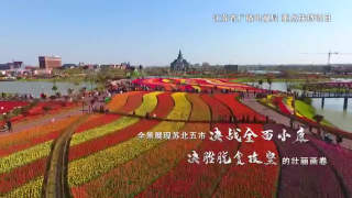 第一集：《一枝一葉總關(guān)情》