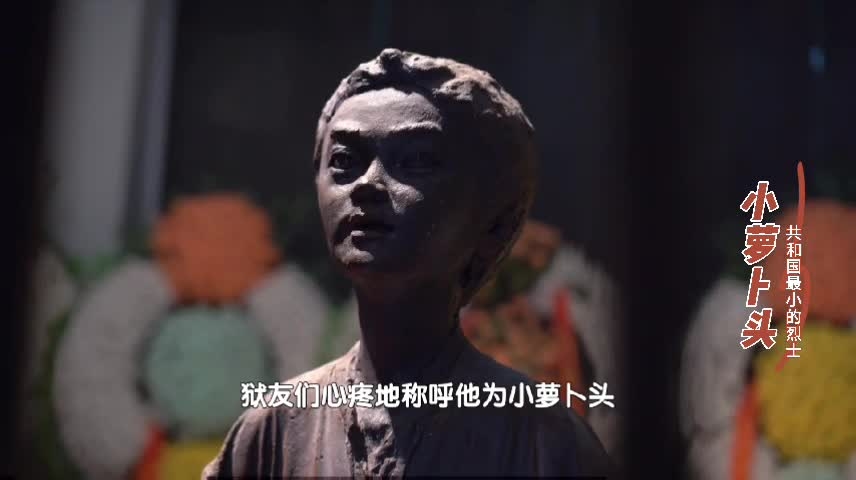 《共和國最小的烈士&mdash;&mdash;小蘿卜頭》 徐藝軒 徐州市求是小學(xué)五（2）班 指導(dǎo)老師 張園園