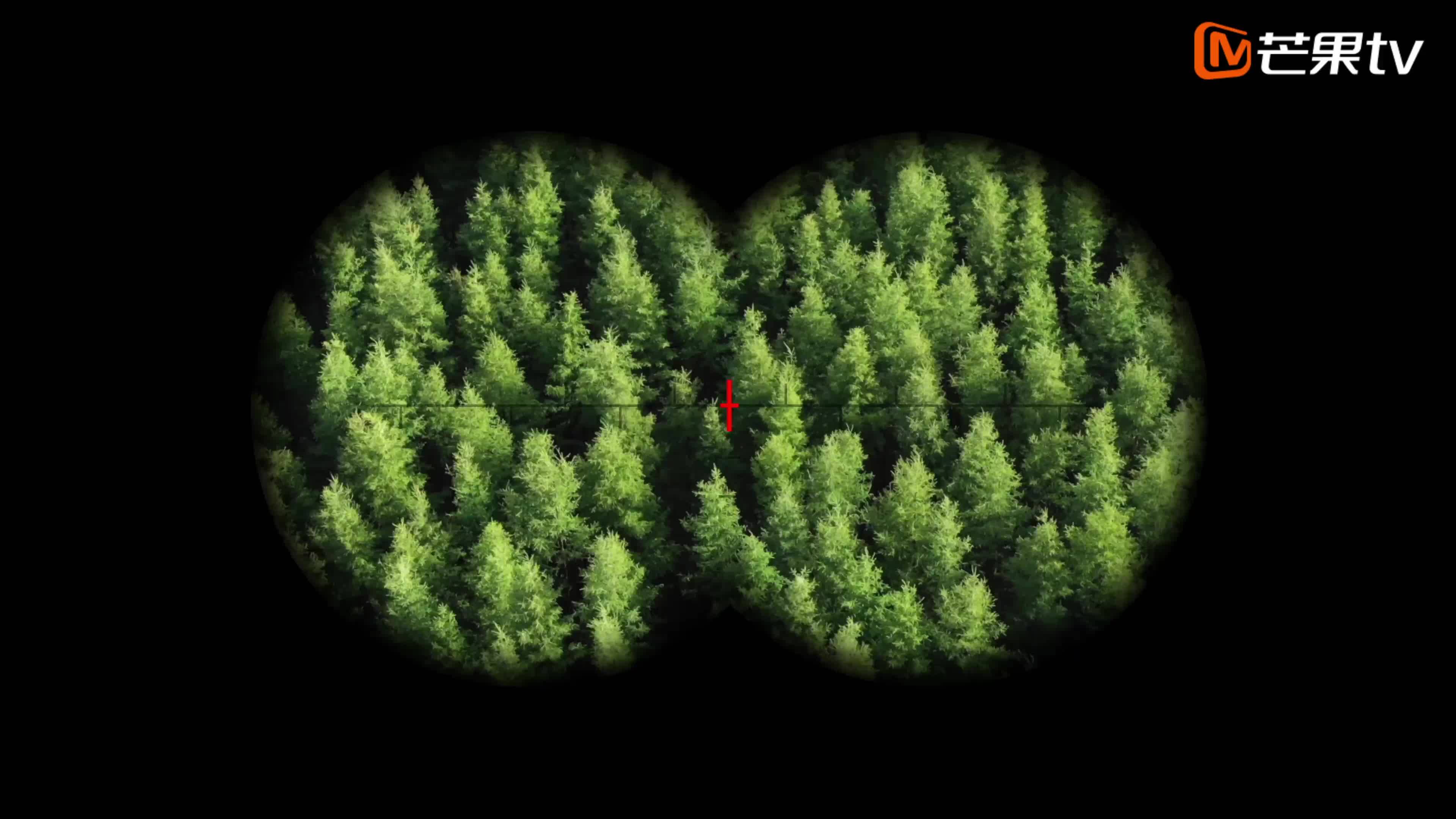 《這十年》微紀(jì)錄片 第2集《塞罕壩上瞭望者》趙福州