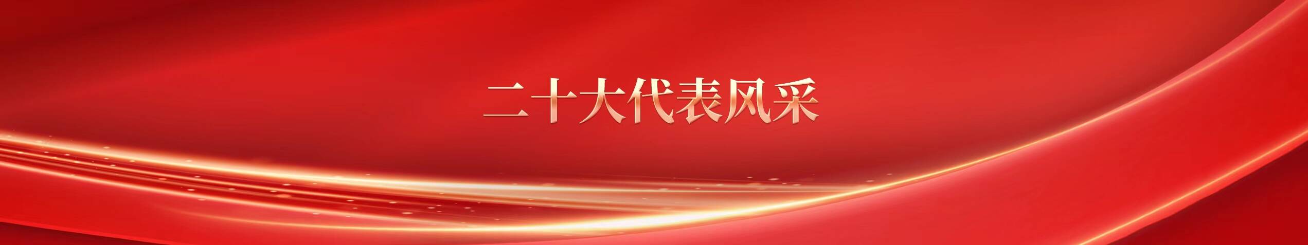 二十大代表風(fēng)采