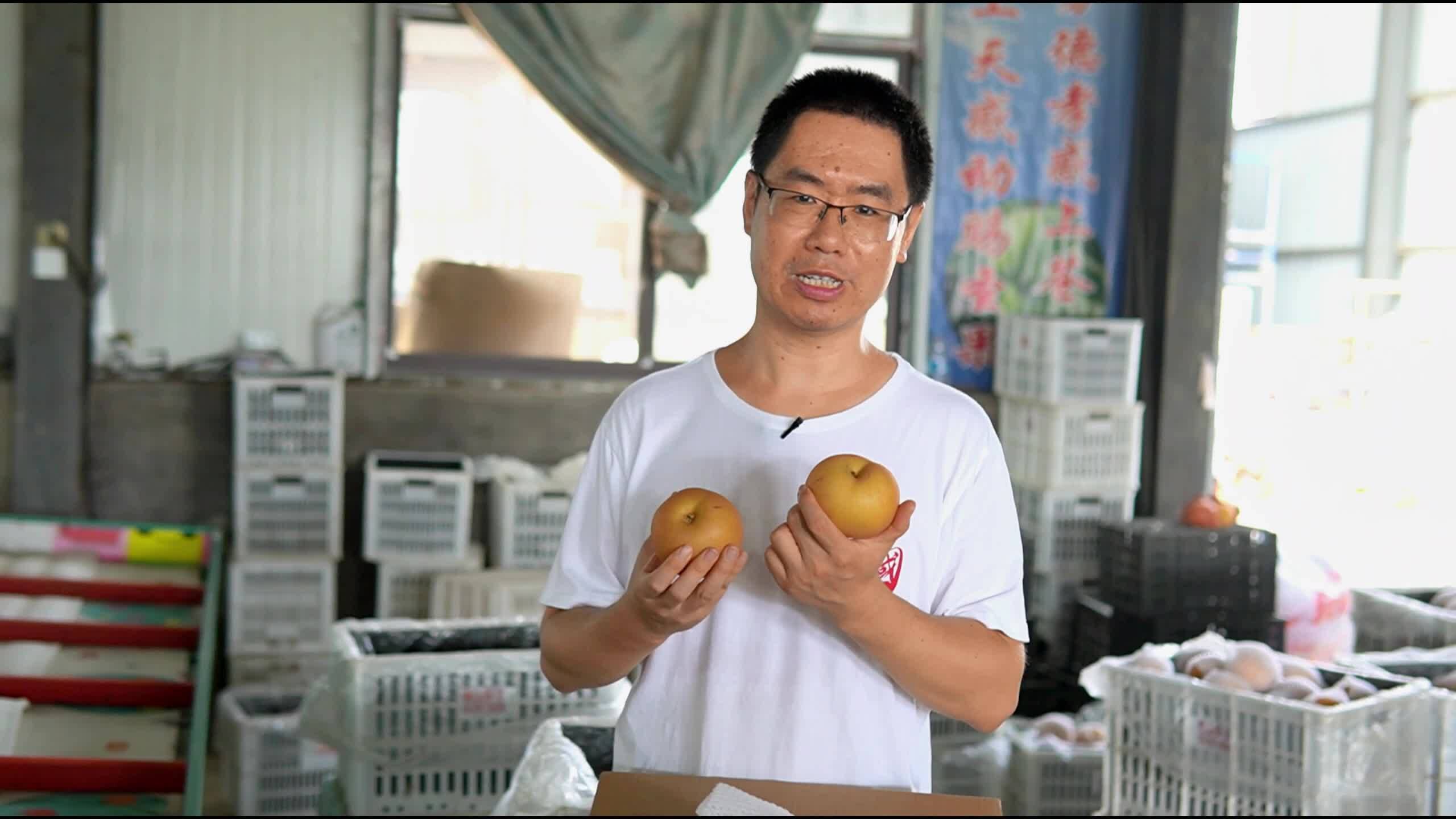 說新農(nóng)：秋月梨自動分選