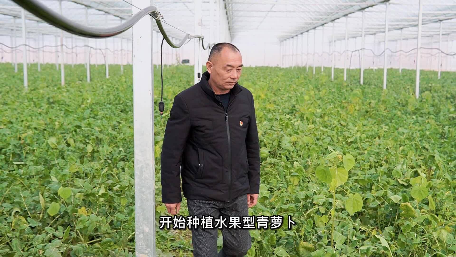 欣興村謝書記為水果蘿卜代言