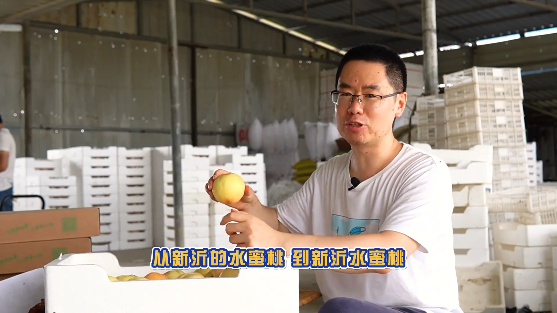 說新農(nóng)：新沂的水蜜桃的前世今生