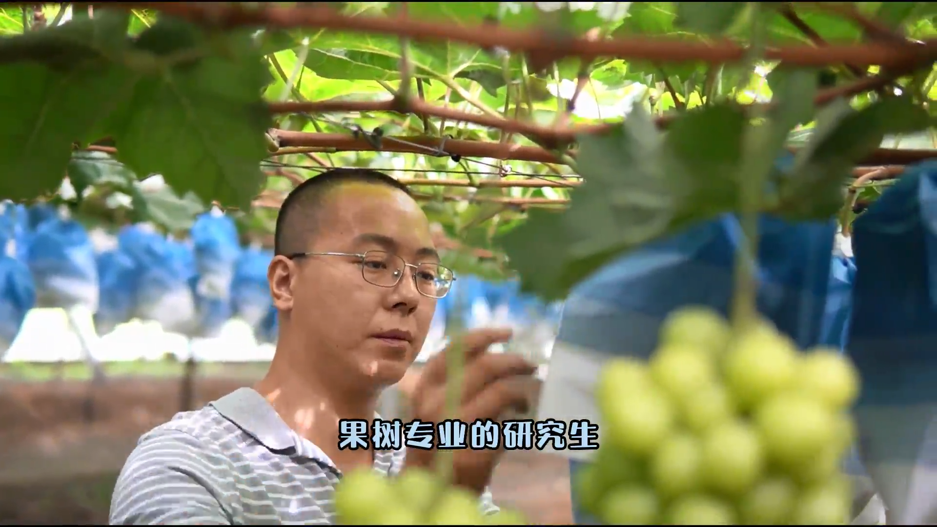 農(nóng)人故事：韓旭