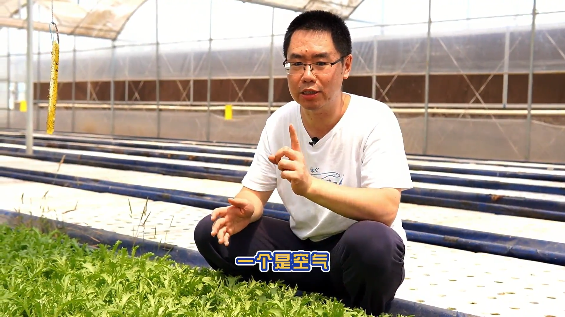 說新農(nóng)：魚菜共生