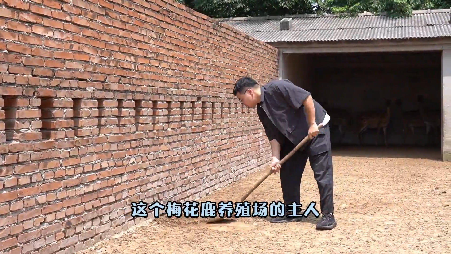 農(nóng)人故事：桂政