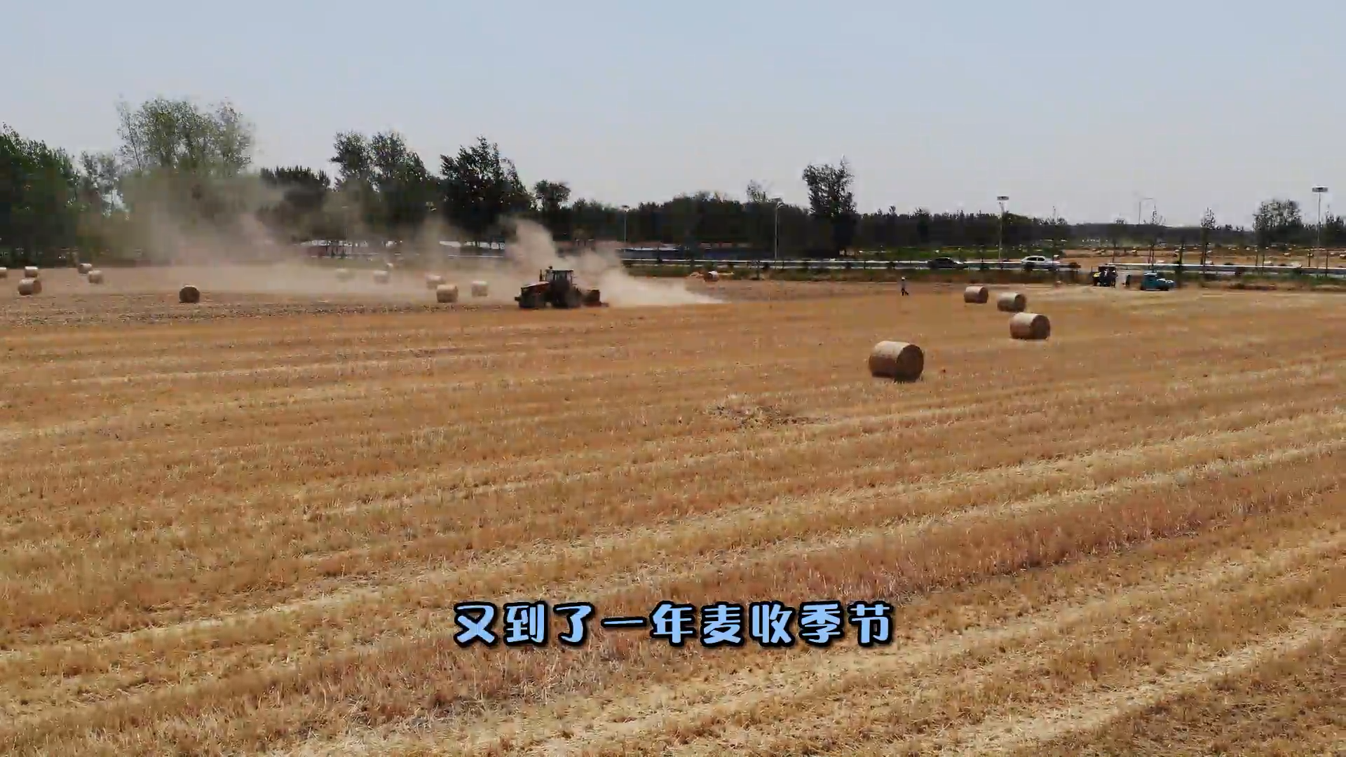 新農(nóng)推薦：離田的秸稈去哪了？