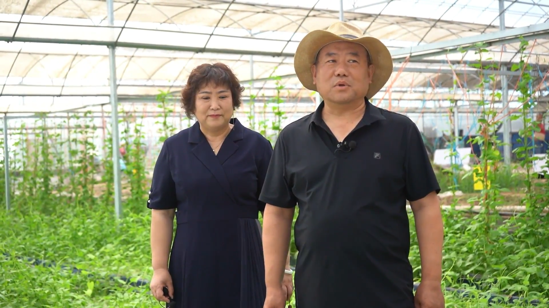 農(nóng)人故事：秦軍 袁美芝