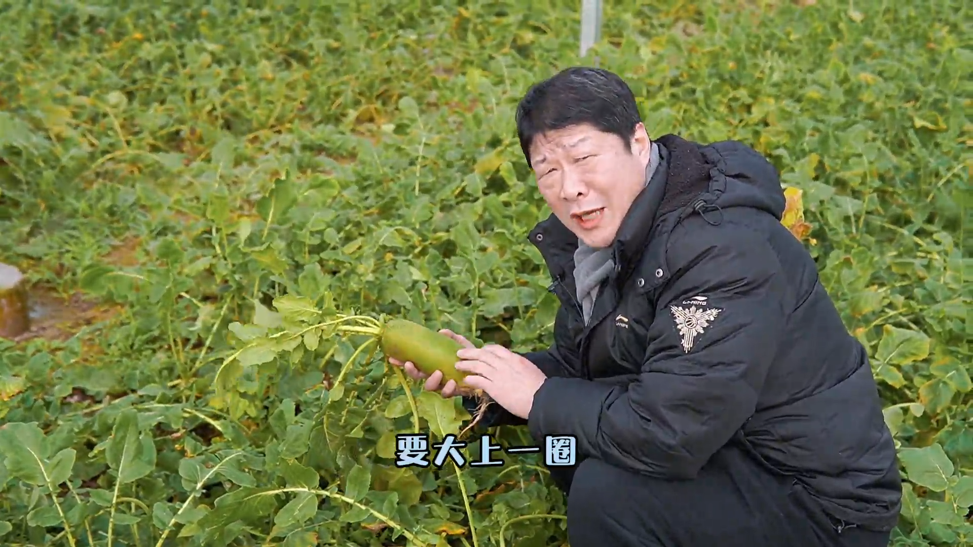 新農(nóng)推薦：欣興村水果蘿卜