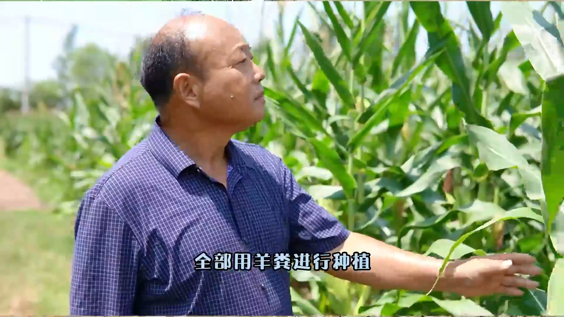 農(nóng)人故事：張書喜