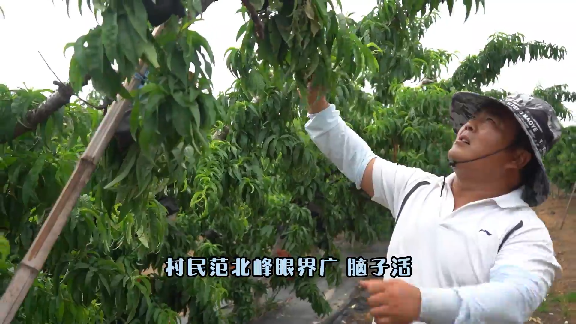 農(nóng)人故事：范北峰