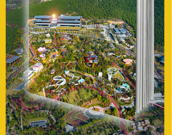 11月6日，世界在徐州遇見美麗中國