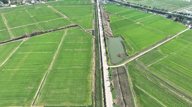 揚州市江都區(qū)真武鎮(zhèn)振興村高標準農(nóng)田