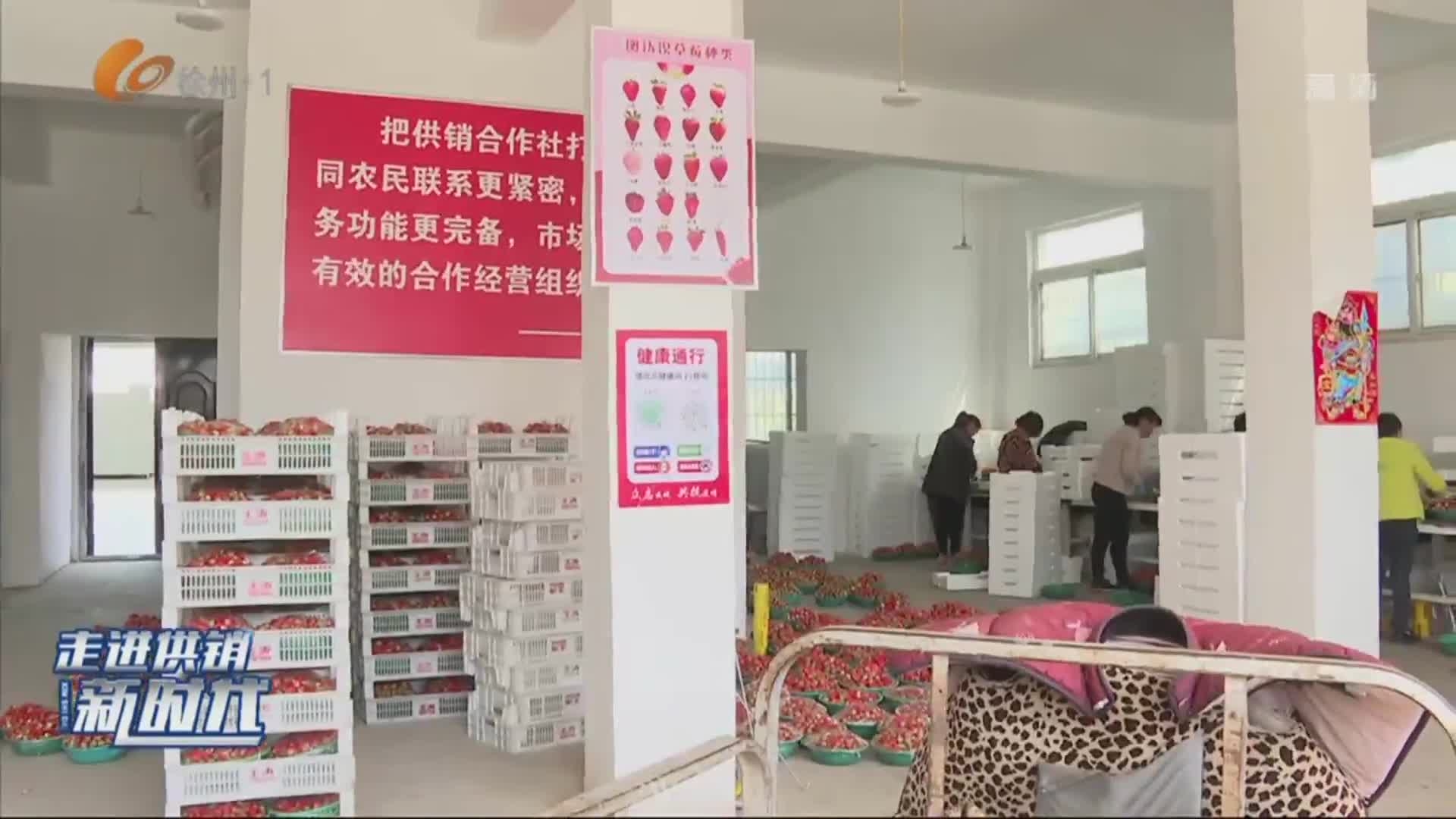 第（4）期  走進(jìn)供銷新時(shí)代（三）：&ldquo;定制化&rdquo;服務(wù)  推動(dòng)地方特色農(nóng)產(chǎn)品大發(fā)展