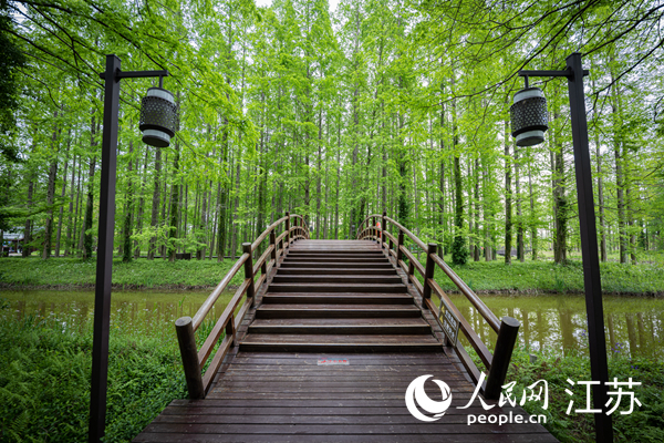 憑借森林資源優(yōu)勢，當?shù)卮蛟炝松止珗@文旅融合休閑度假區(qū)。人民網(wǎng) 馬燾燾攝