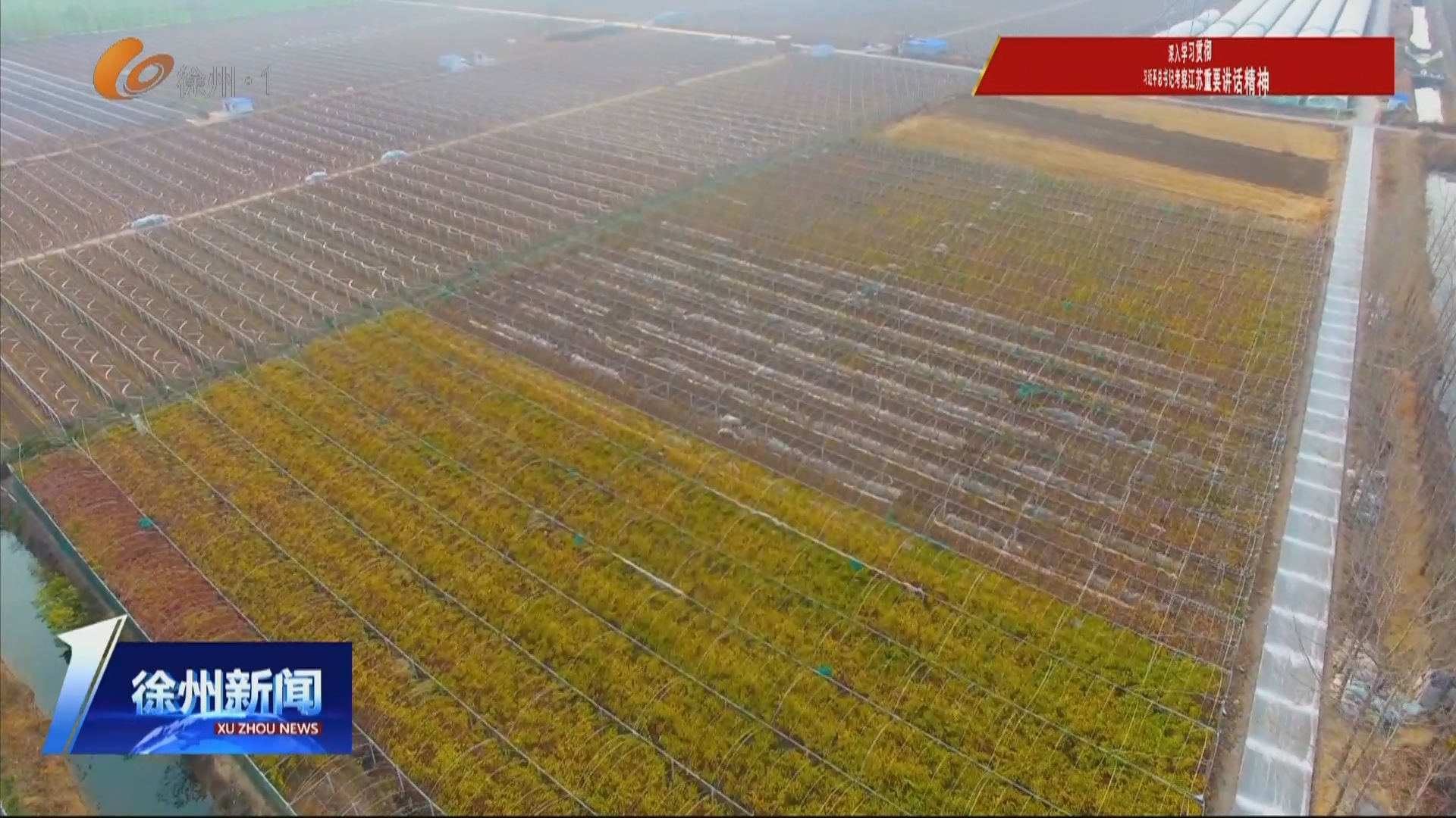 總產(chǎn)突破101億斤再創(chuàng)新高  徐州實(shí)現(xiàn)糧食生產(chǎn)&ldquo;二十連豐&rdquo;