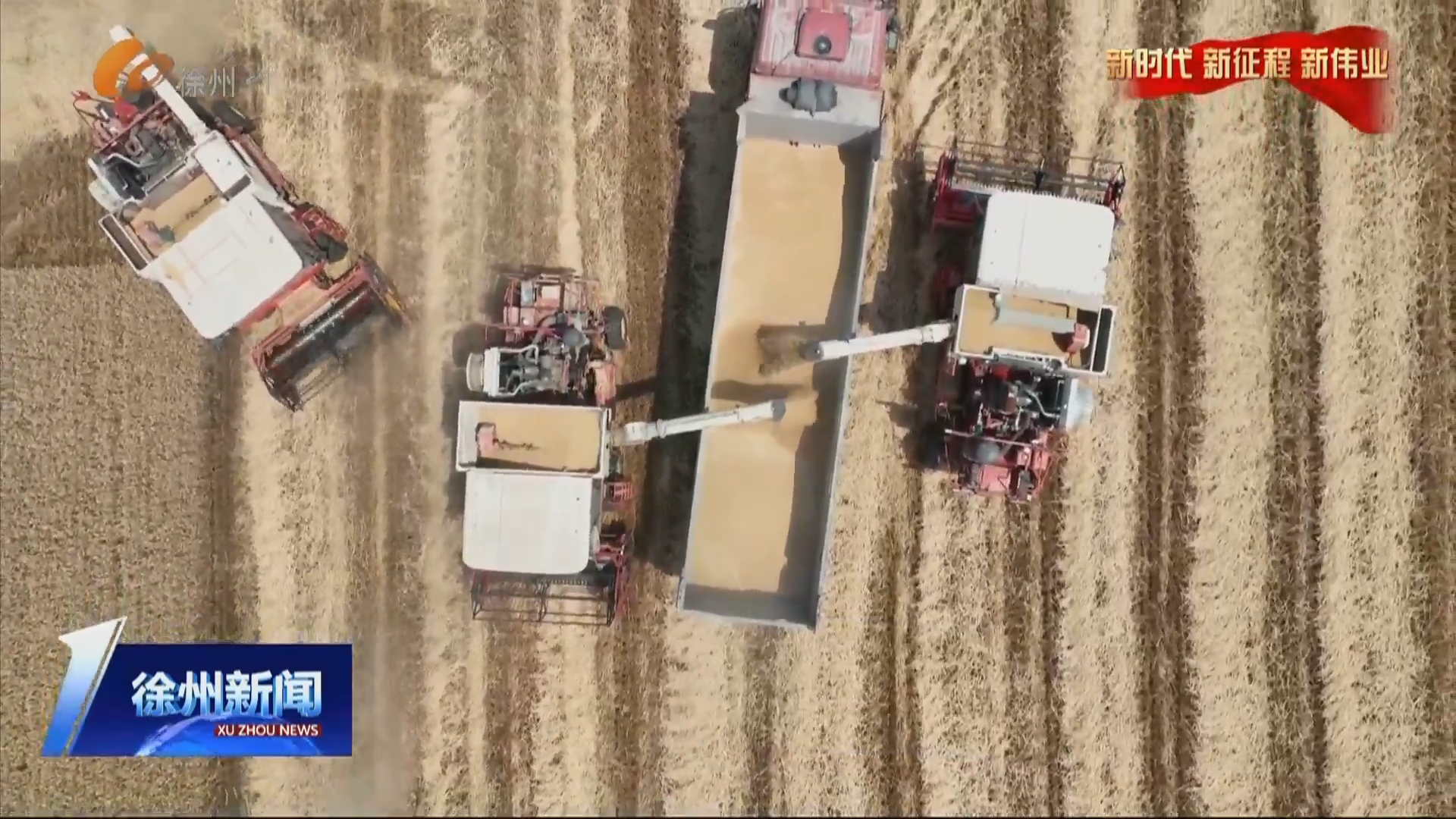 &ldquo;三夏&rdquo;時節(jié)&middot; &ldquo;麥&rdquo;向豐收：全市531萬畝小麥全面開鐮收割