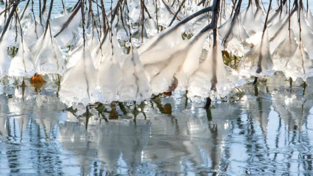 太美了！云龍湖&ldquo;冰雕展&rdquo;來了