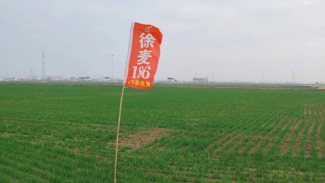 全國&ldquo;尖子生&rdquo;，在睢寧！