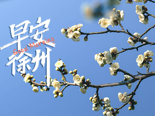 這筆錢(qián)能退！3月31日前申請(qǐng)