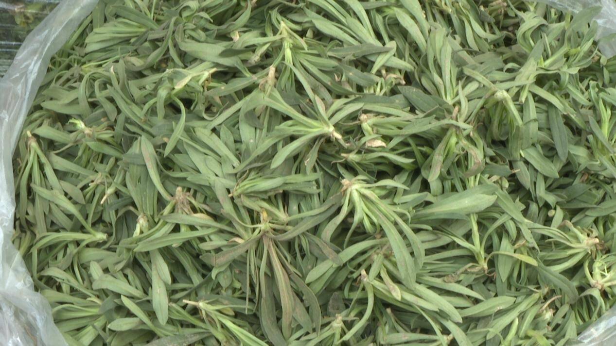 快來！把徐州的春天味道端上餐桌~