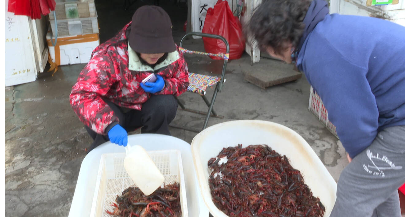 比往年便宜近10元！&ldquo;夜宵頂流&rdquo;小龍蝦悄然上市