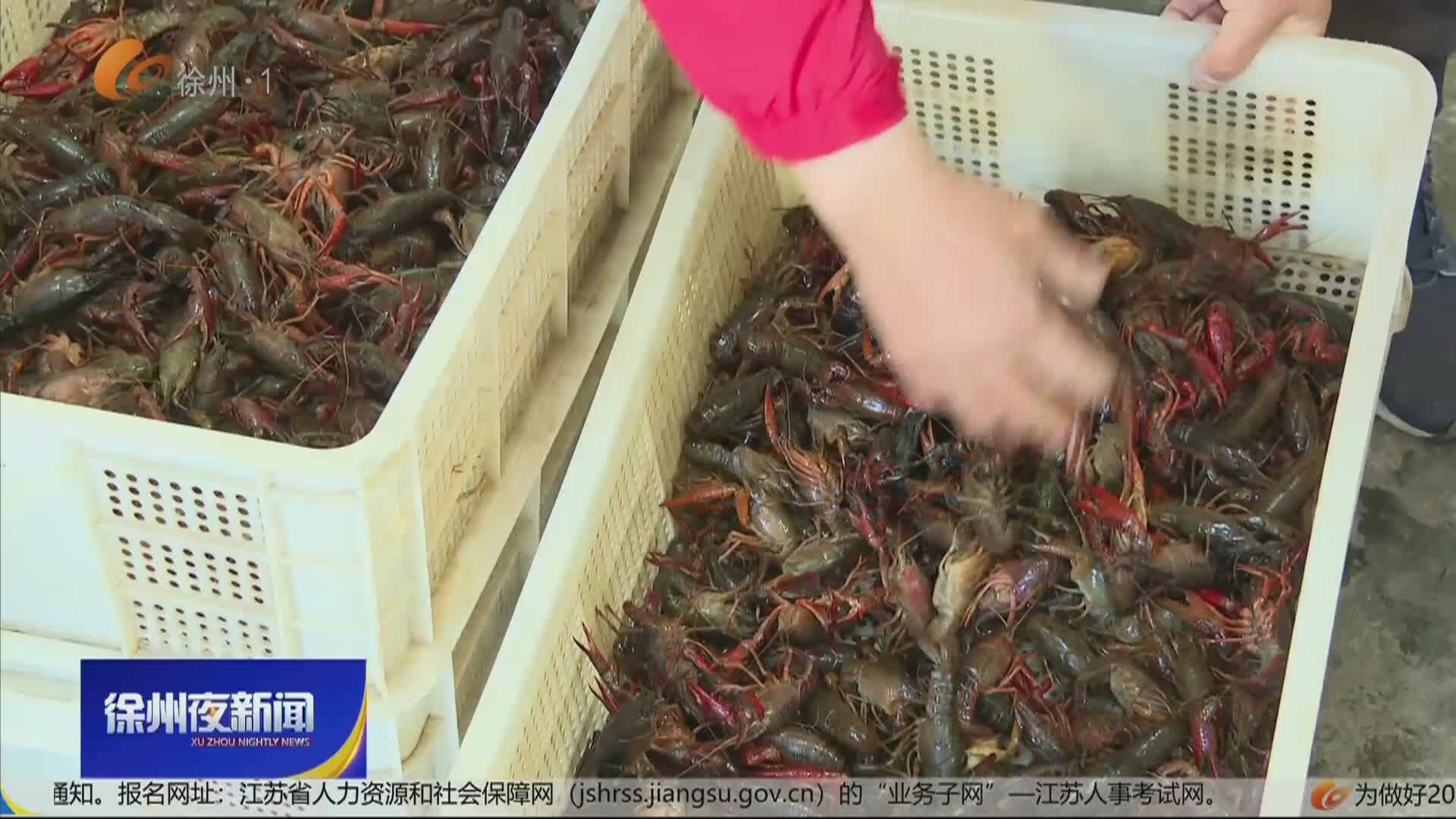 徐州夜新聞-2026-03-18