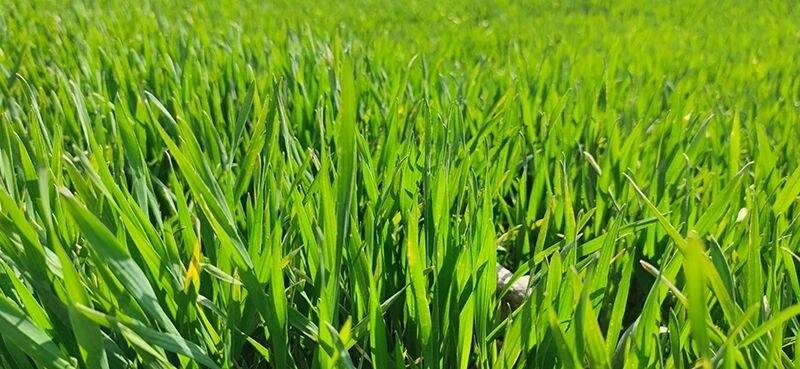 農(nóng)資足、監(jiān)管嚴(yán)、農(nóng)機(jī)暖，江蘇徐州春耕&ldquo;加速度&rdquo;