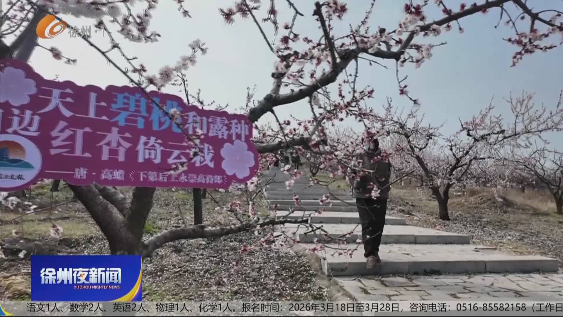 徐州夜新聞-2026-03-20