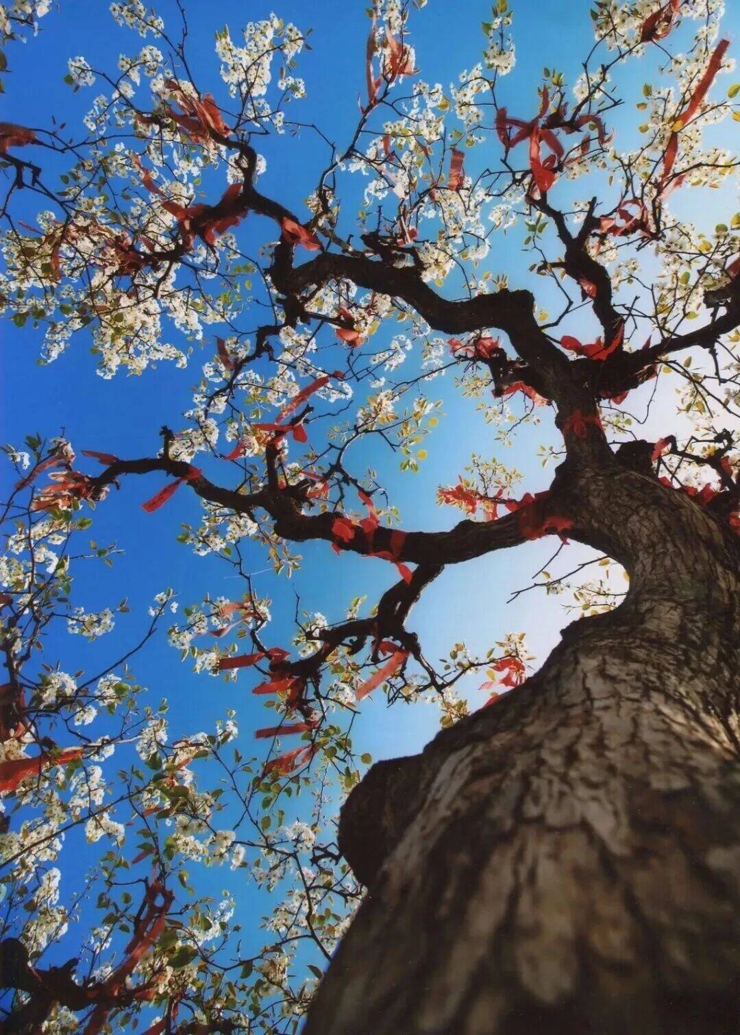 我在這里，等了你兩百年&hellip;&hellip;