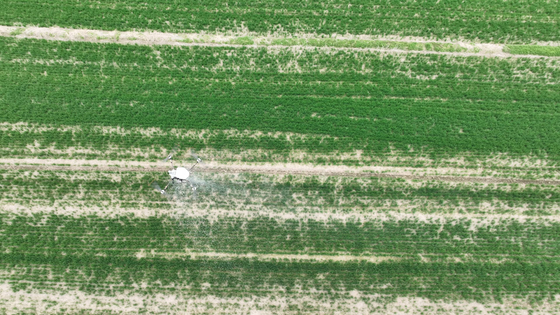 智能農(nóng)機(jī)護(hù)航春管 徐州市533.9萬畝小麥陸續(xù)進(jìn)入拔節(jié)孕穗期