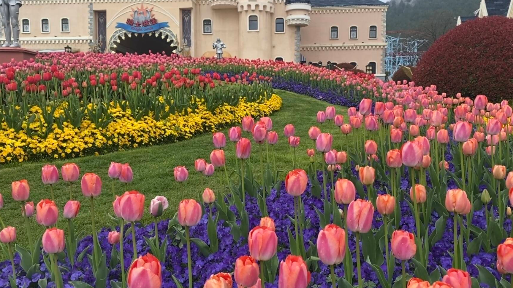 不負春日好風(fēng)光！徐州 4 處賞花打卡地，人少出片快