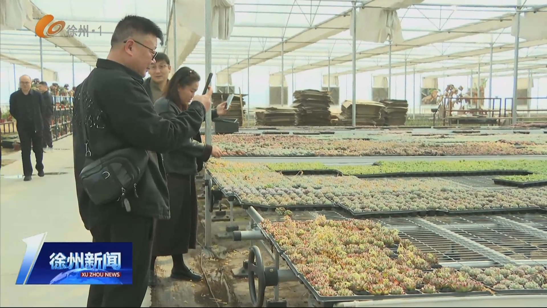 尋味鄉(xiāng)土 共話清朗 &ldquo;清朗彭城2026&middot;網(wǎng)絡(luò)生態(tài)共治沙龍&rdquo;系列活動(dòng)走進(jìn)睢寧