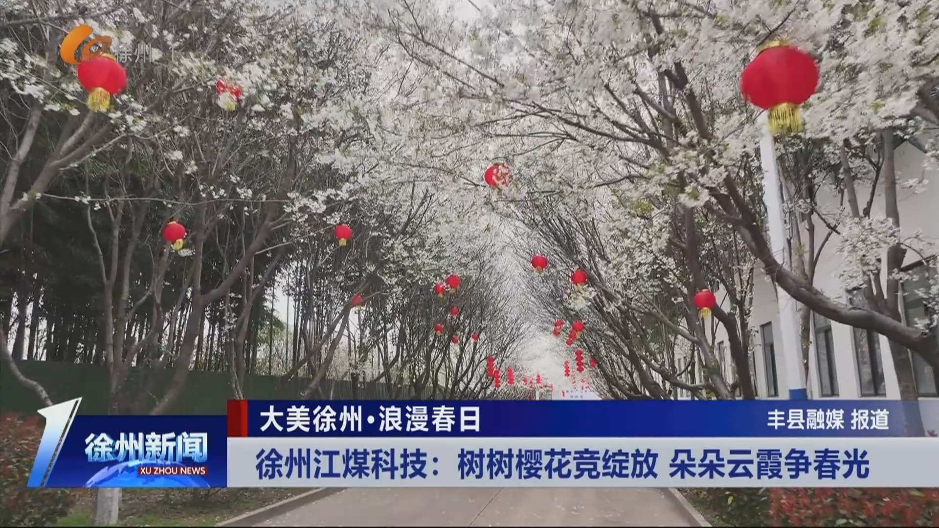 大美徐州&middot;浪漫春日 徐州江煤科技：樹樹櫻花競綻放 朵朵云霞爭春光