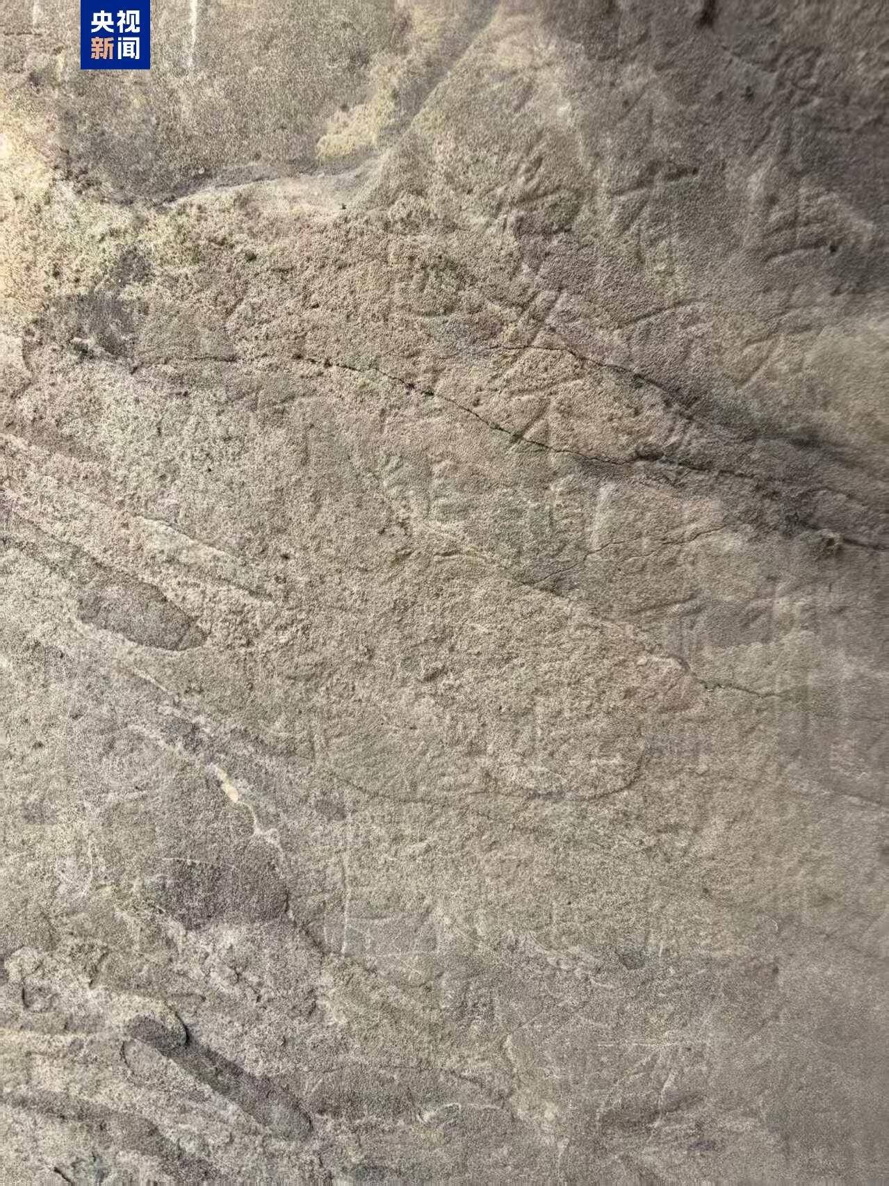 龍門(mén)石窟保護(hù)施工中新發(fā)現(xiàn)唐代石刻《金剛經(jīng)》