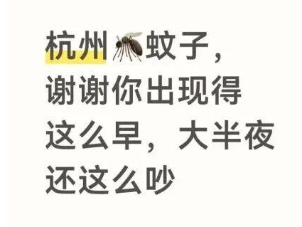 &ldquo;今年蚊子史詩級加強&rdquo;？疾控部門提醒