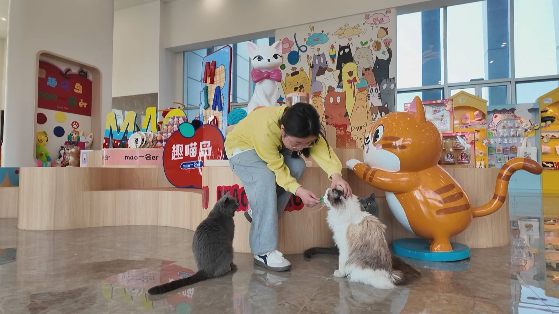 &ldquo;萌寵流量&rdquo;賦能&ldquo;文旅增量&rdquo;  賈汪趣喵島踏春賞&ldquo;喵&rdquo;正當(dāng)時(shí)