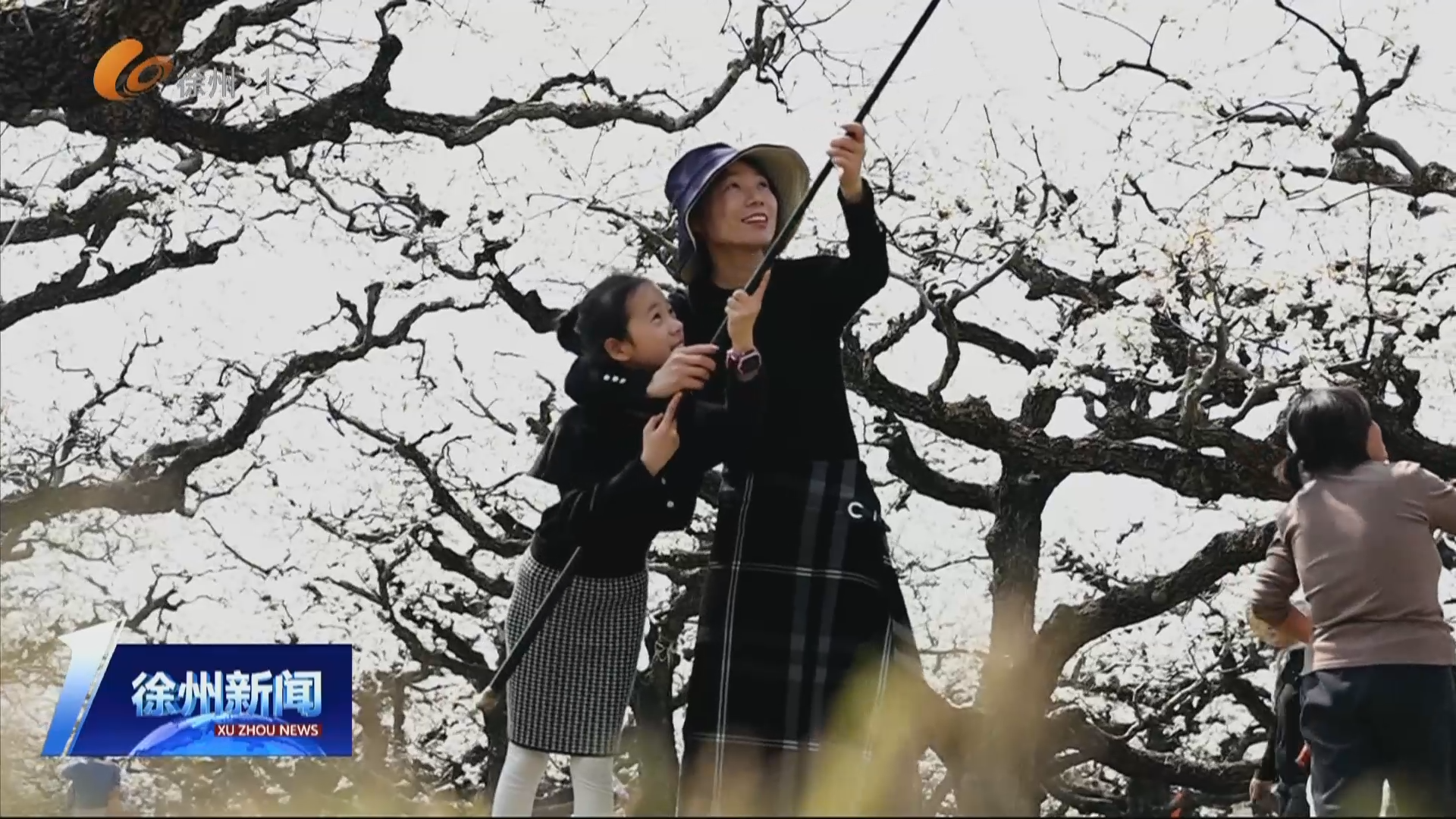 踏青賞花 緬懷先烈 江蘇徐州中小學生這樣過春假