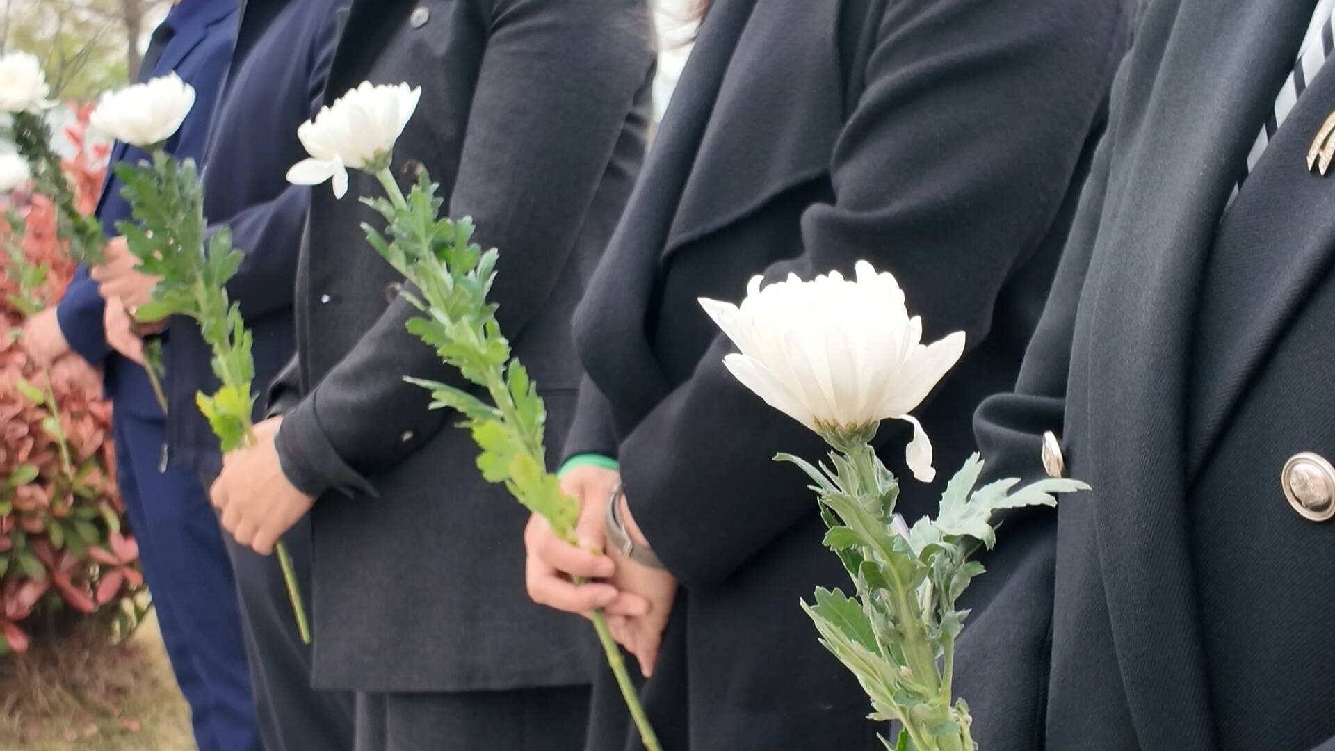 生命接力 曙光永續(xù) 徐州市2026年人體器官捐獻緬懷紀念暨宣傳普及活動舉行