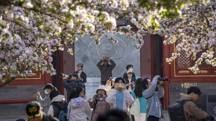 全民&ldquo;追花地圖&rdquo;！原來有這么多&ldquo;花樣&rdquo;玩法