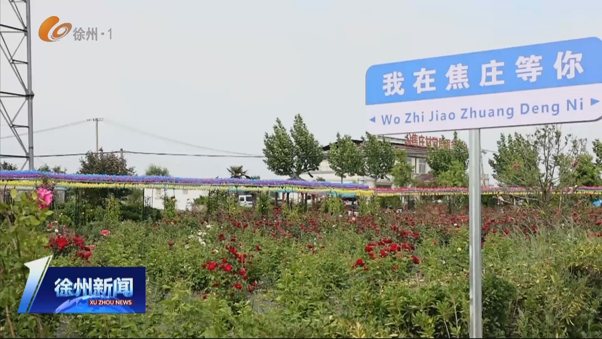 ?豐縣順河鎮焦莊村：產業興鄉村美 小花園扮靚幸福新生活