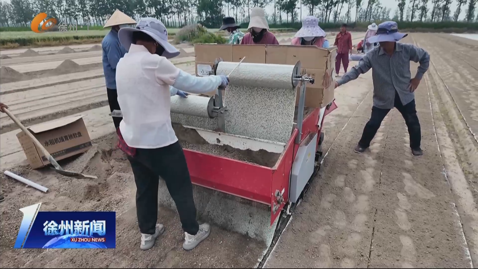 新技術實現&rdquo;紙上育秧&ldquo;   徐州推廣水稻印刷育秧技術