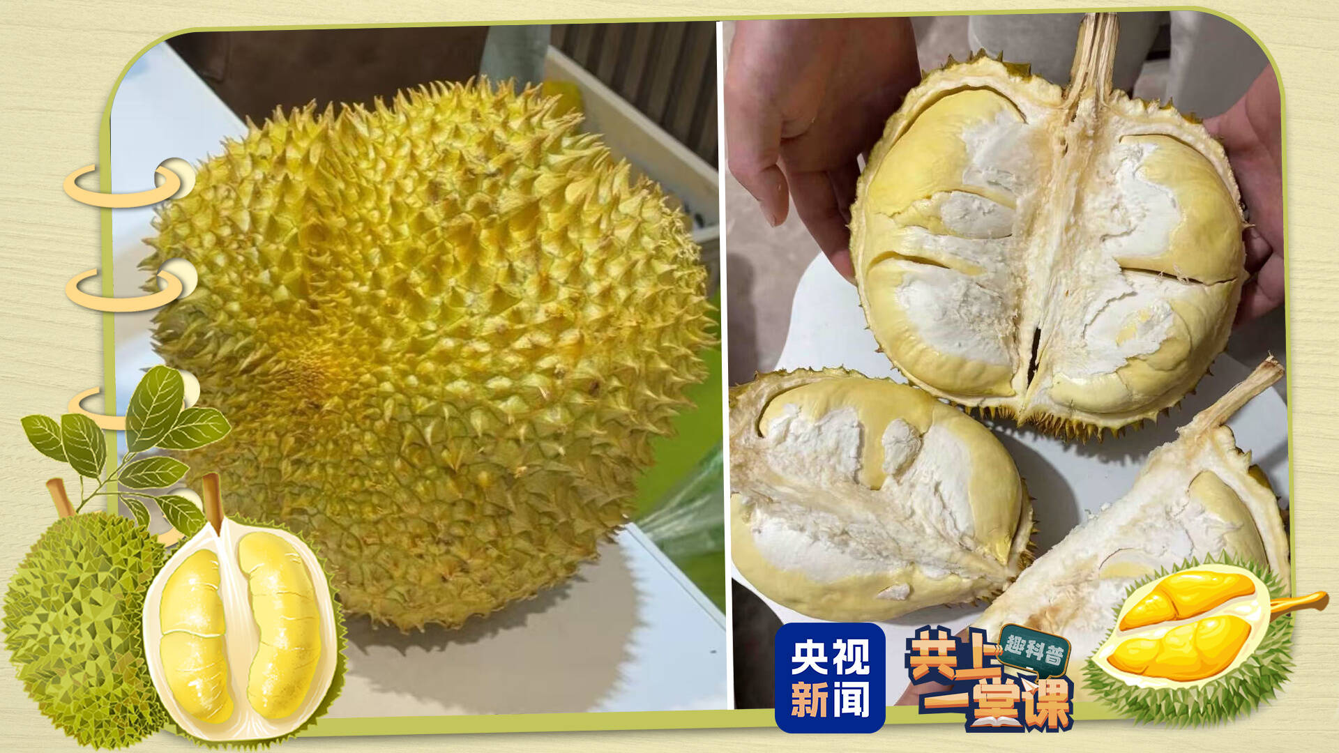 近期可能還要降價(jià)！關(guān)于榴蓮的最新消費(fèi)提示